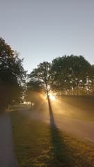 Fraaie kleuren in opkomende zon