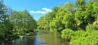 Zonnig in de Ardennen