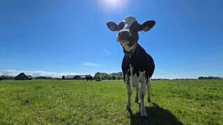 Even kijken of er regen in de lucht zit