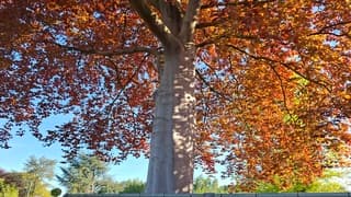 Een heerlijke zonnige dag