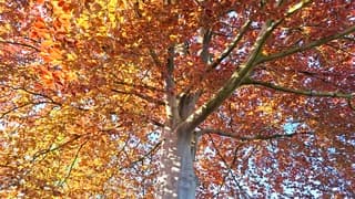 Genieten van een heerlijk zonnige dag