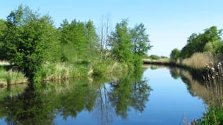 Een zonovergoten Moederdag