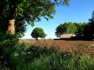 Wat een schitterende dag vandaag. 