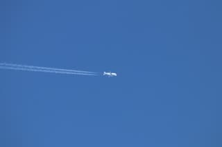 dolfijn vliegtuig Beluga