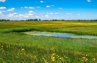 Eck en Wiel