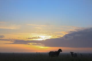 Zonsopkomst: mooie lentedag