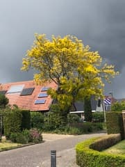 Zon en regen in Friesland