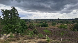 Wolken