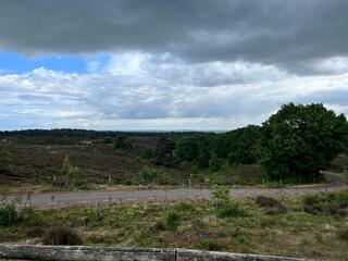 Bewolking