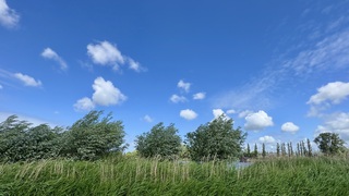 Wind