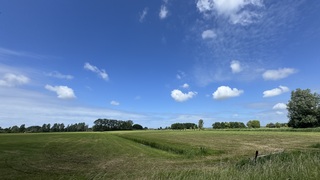 Zon