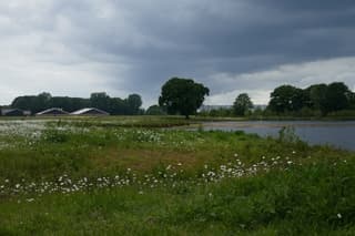 Buien boven de Doorbraak