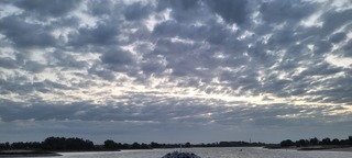Goedemorgen 