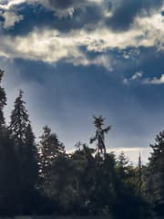 26-05 Jan-Klaasen wijst de weg