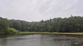 Regenachtig weer in Velp