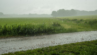 Een flinke regenbui