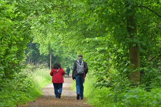 Ochtendwandeling. Prima weer voor.