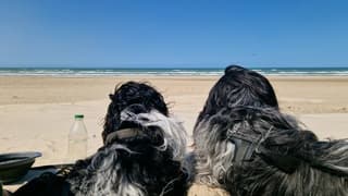 Genieten van zeezicht bij Blokhus 