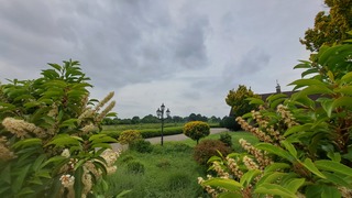 Tuin in bloei