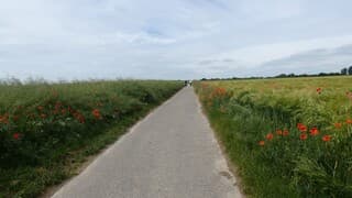Nog veel ruimte enkele kilometers van Koningsbosch.