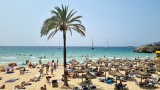 Mallorca: zonnig en warm strandweer