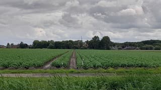 Pieterburen
