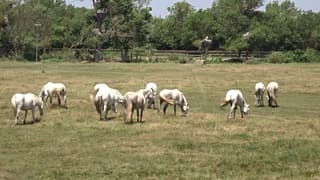 Zonovergoten warm weer