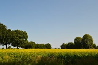 Blauwe lucht en veel zon.