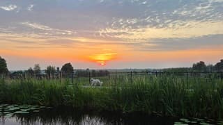 Nog steeds 28 graden 