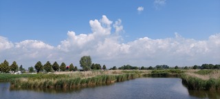 Wolken 