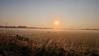 Zonsopkomst