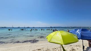 Zomerse zaligheid op formentera