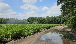 Droogte 