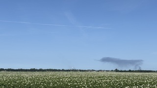 Aardappelveld