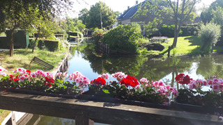 zonnig blauw