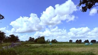 Hollandse wolkenluchten boven grasland