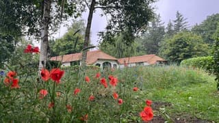 Beetje kleur op druilerige ochtend 