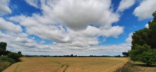 Zomer in Zeeuws Vlaanderen 