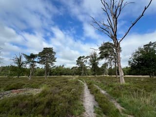 Vanochtend nog half bewolkt 