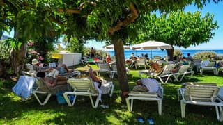 Zinderende hitte, koel gras en schaduw