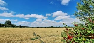 Zomers Zeeuws Vlaanderen 
