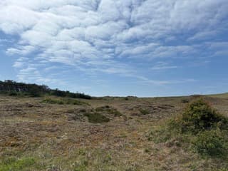 Heerlijk weer aan de kust