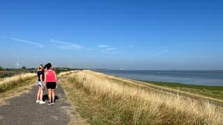 Wandelenover de dijk in de wind.
