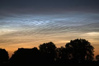 Lichtende nachtwolken boven de bomen