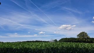 mooie stapelwolken lucht, maisland is nog steeds droog en wordt met water besproeid