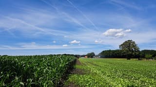 mooie stapelwolken lucht, maisland is nog steeds droog en wordt met water besproeid