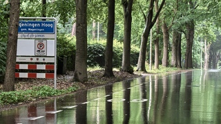 Kletsnat Wagebingen-Hoog