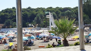 Strand Moraira meeuw op strooptocht 