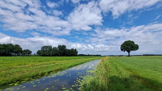 Mooie boom langs beekje met mooie stapelwolken in Oud-Ootmarsum. tegen de grens van Duitsland aan