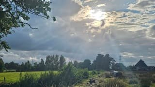 Kalfje ligt in de avond te rusten met de zonnestralen door het wolkendek 